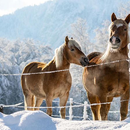 Hotel & Chalets Lampllehen マルクトシェレンベルク エクステリア 写真